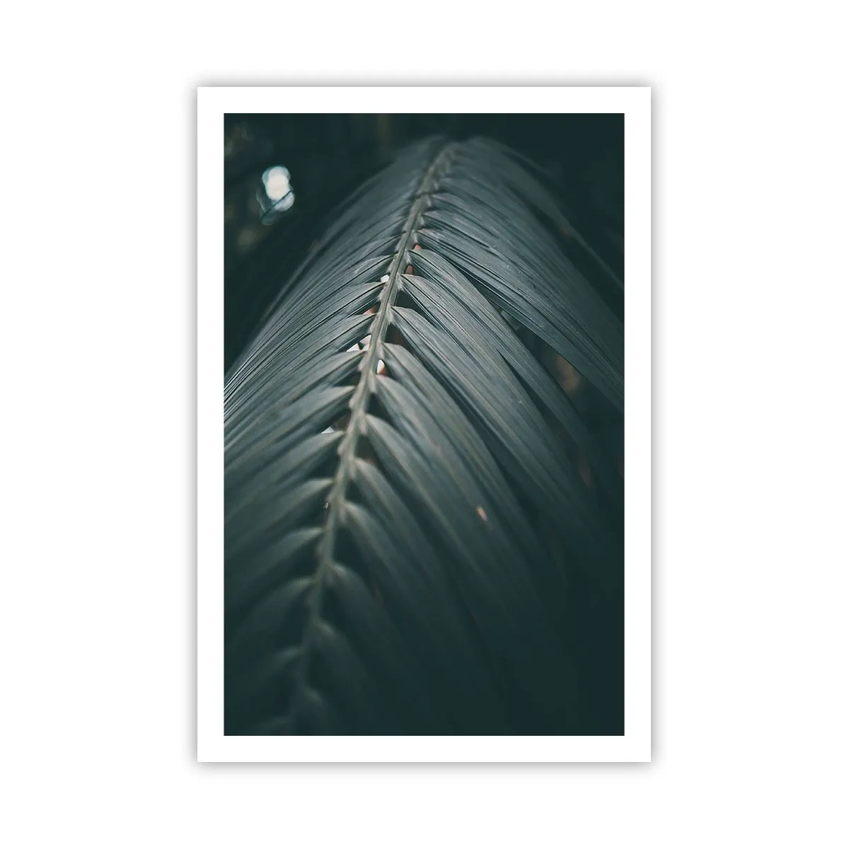 Affiche - Poster - Précision de la nature - 61x91 cm