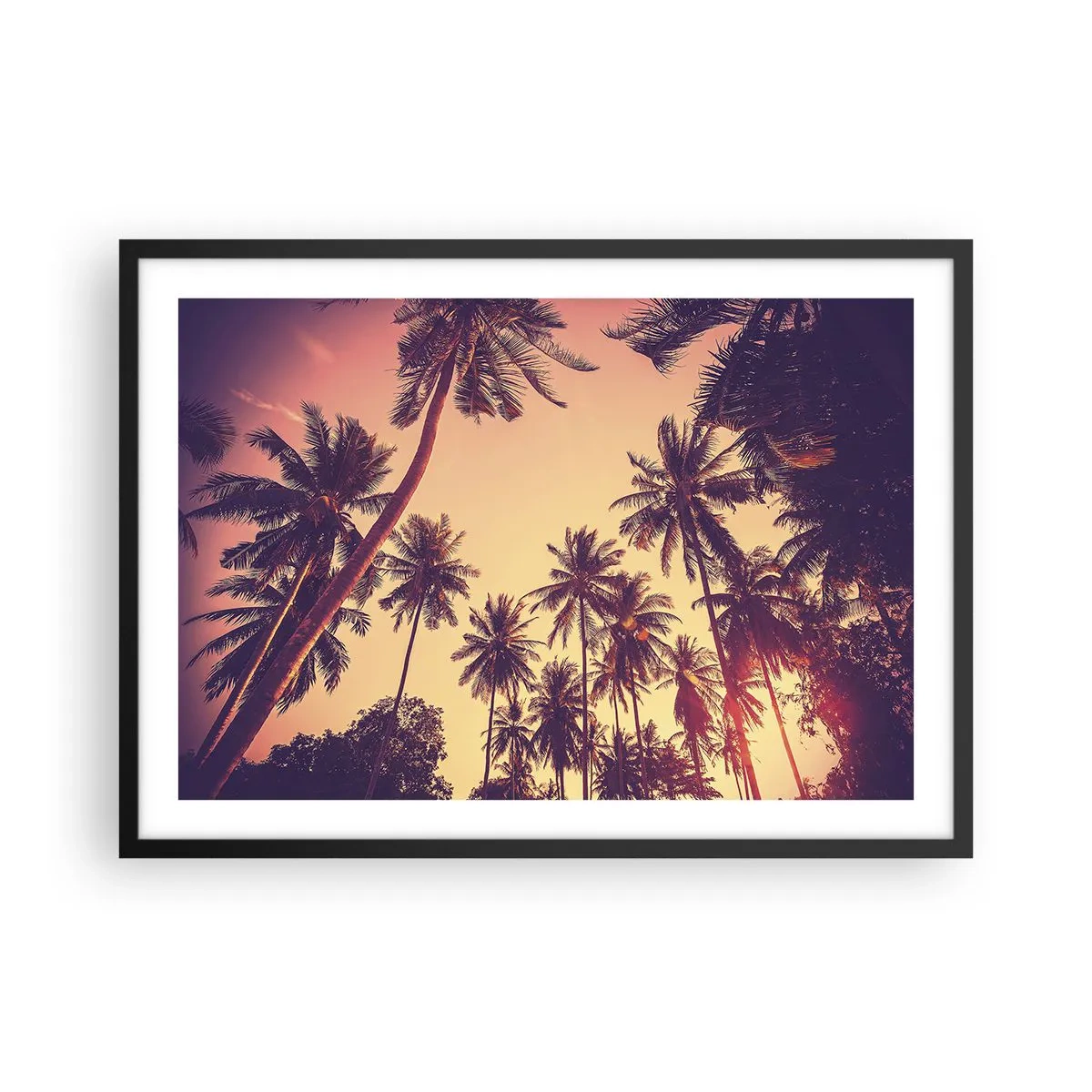 Affiche dans un cadre noir - Poster - Palmiers contre le ciel aux couleurs chaudes du coucher de soleil - 70x50cm - Variation tropicale - Décoration murale moderne pour le salon et la chambre ARTTOR