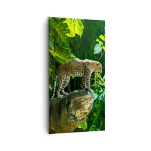 Impression sur toile - Image sur toile - À la chasse? - 65x120 cm