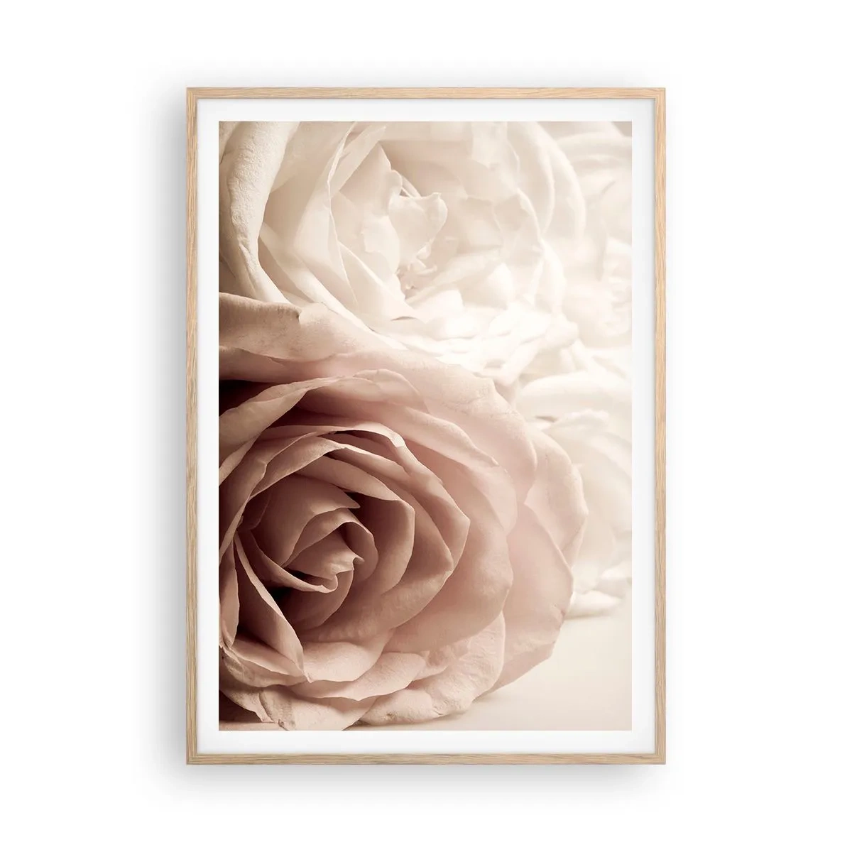 Affiche dans un chêne clair - Poster - Au coeur d'ue la rose - 70x100 cm