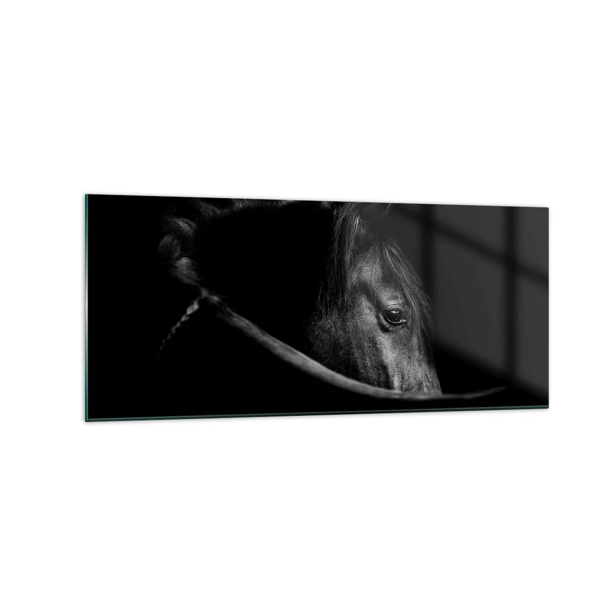 Impression sur verre - Image sur verre - Portrait en noir et blanc d'un cheval avec un jeu subtil de lumière et d'ombre sur un fond sombre. - 120x50cm - Prince Noir - Décoration murale moderne pour le salon et la chambre ARTTOR