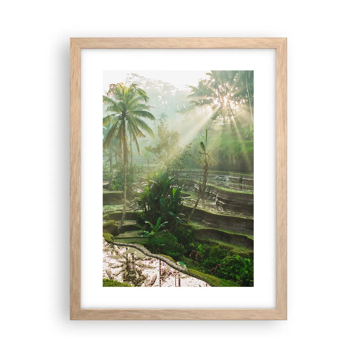 Affiche dans un chêne clair - Poster - Grandir au soleil - 30x40 cm