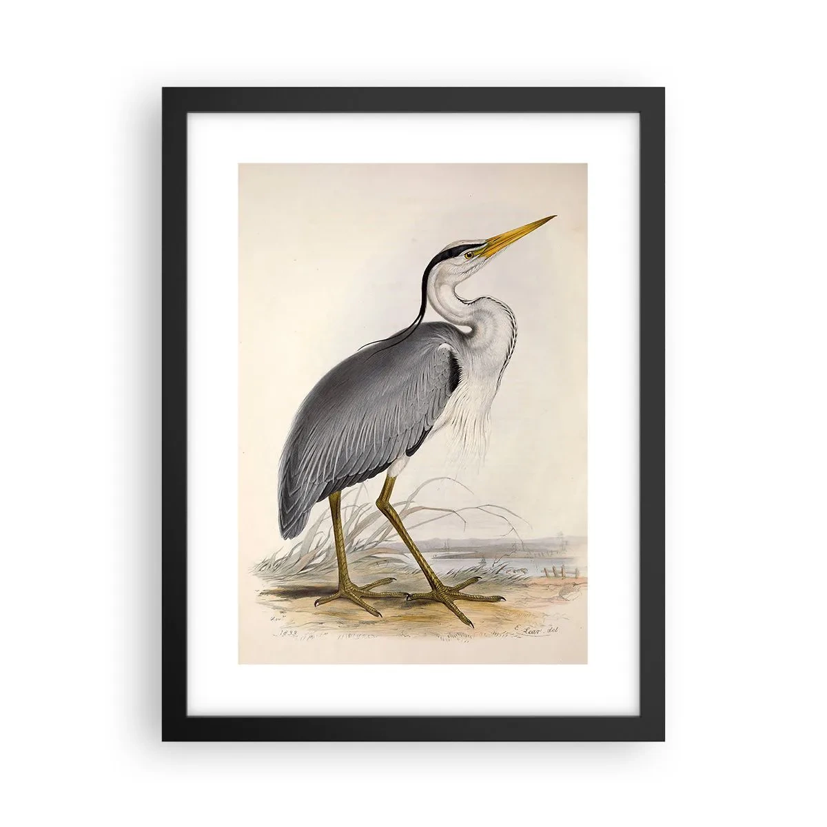 Affiche dans un cadre noir - Poster - Grâce au héron - 30x40 cm