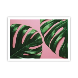 Affiche - Poster - Feuilles de monstera vertes sur fond rose - 100x70cm - Rendez-vous vert - Décoration murale moderne pour le salon et la chambre ARTTOR