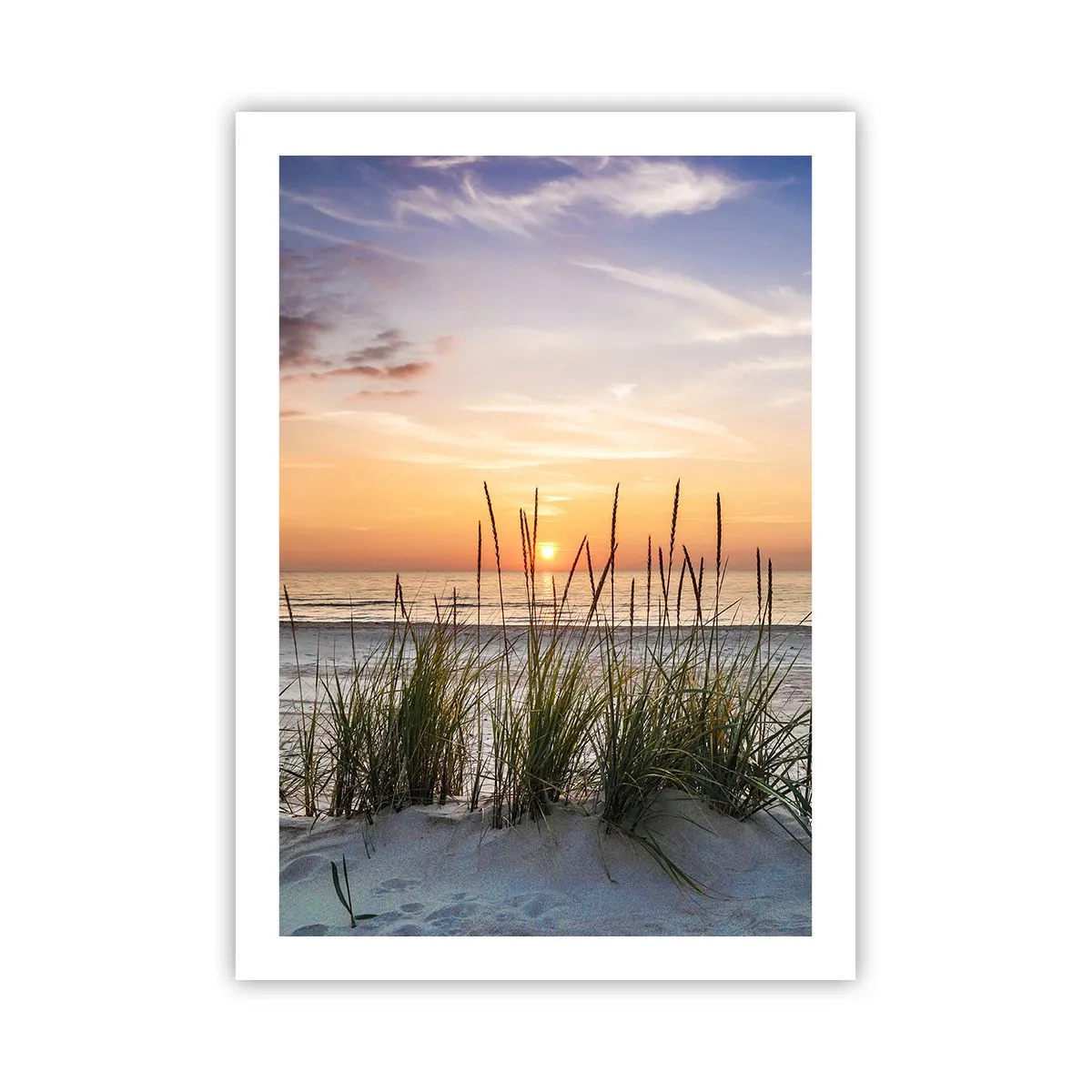 Affiche - Poster - Plage avec végétation au lever du soleil - 50x70cm - Regarde, pense, ressent - Décoration murale moderne pour le salon et la chambre ARTTOR