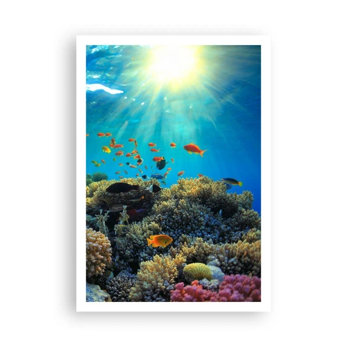 Affiche - Poster - Trésor sous-marin - 70x100 cm