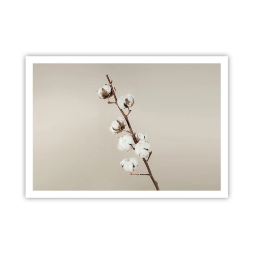 Affiche - Poster - Un brin de coton sur fond beige - 100x70cm - A la source de la douceur - Décoration murale moderne pour le salon et la chambre ARTTOR