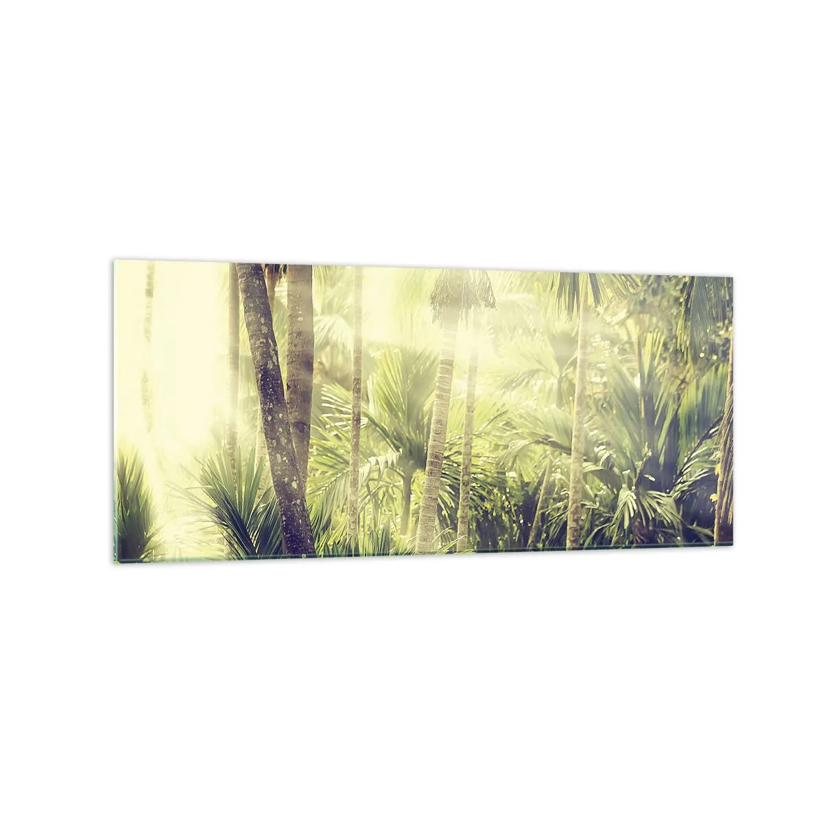 Impression sur verre - Image sur verre - Rayons de soleil dans une forêt tropicale de palmiers - 120x50cm - Nature enflammée - Décoration murale moderne pour le salon et la chambre ARTTOR