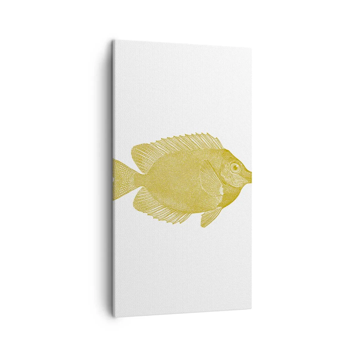 Impression sur toile - Image sur toile - Du poisson et c'est tout - 45x80 cm