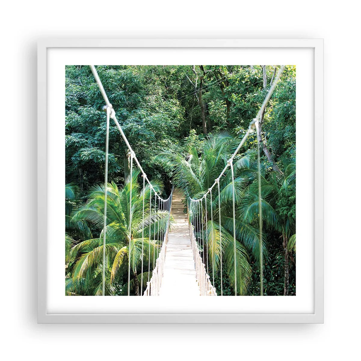 Affiche dans un cadre blanc - Poster - Welcome to the jungle! - 50x50 cm
