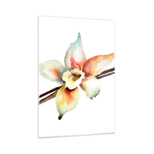 Impression sur verre - Image sur verre - Illustration à l'aquarelle d'une fleur de vanille sur fond blanc - 50x70cm - Douceur de couleur renversée - Décoration murale moderne pour le salon et la chambre ARTTOR