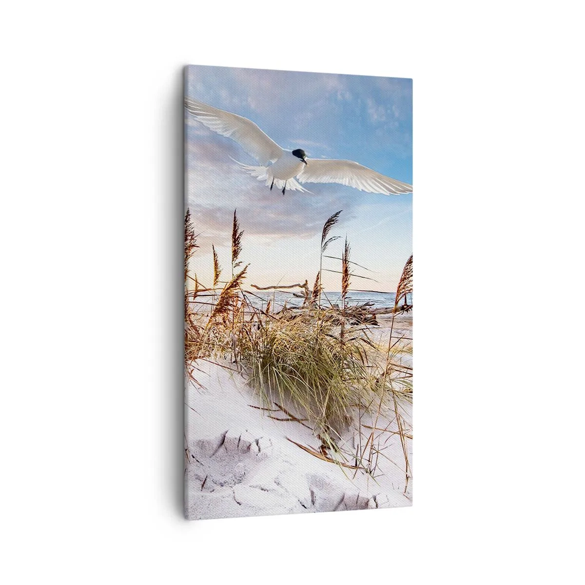 Impression sur toile - Image sur toile - Vent de mer - 45x80 cm