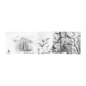 Échantillon de Papier Peint Autocollant Deluxe Sticker - Lumière d'une forêt de bouleaux - Forêt, Bouleau, Des arbres - 100x30 cm