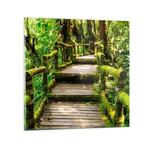 Impression sur verre - Image sur verre - Un couloir de verdure - 30x30 cm