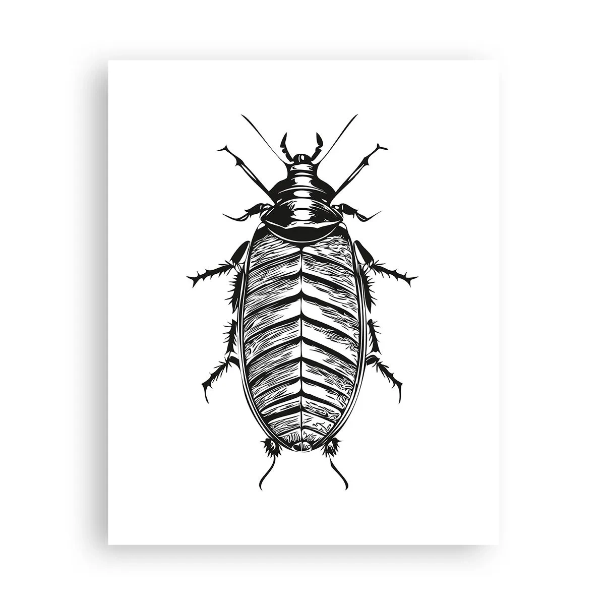 Affiche - Poster - Quel spécimen! - 40x50 cm