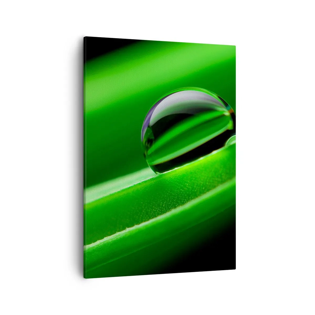 Impression sur toile - Image sur toile - Gros plan d'une goutte de rosée sur une feuille verte - 50x70cm - La vie de près - Décoration murale moderne pour le salon et la chambre ARTTOR