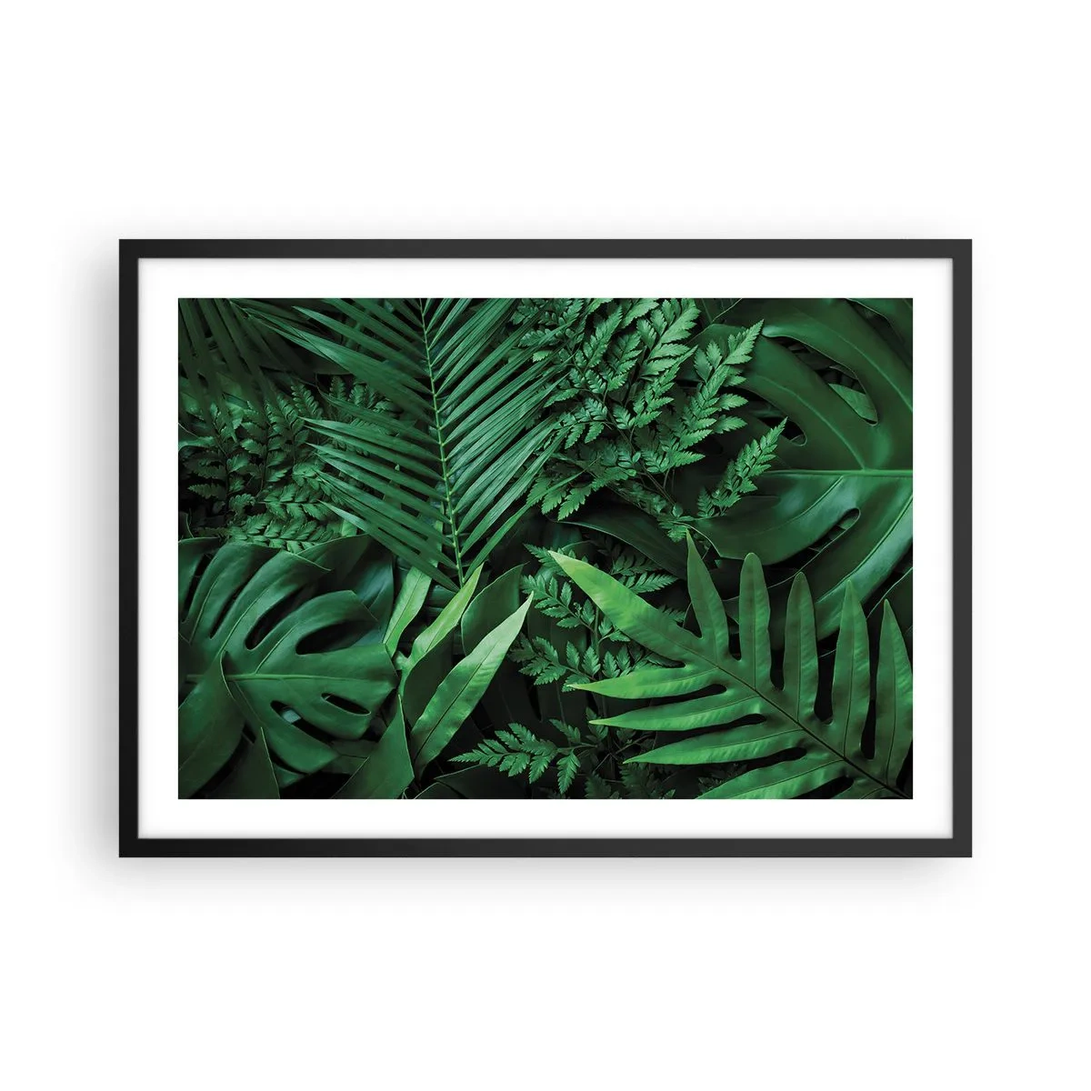 Affiche dans un cadre noir - Poster - Feuilles tropicales vertes dans une composition dense et naturelle - 70x50cm - Emmitouflé de verdure - Décoration murale moderne pour le salon et la chambre ARTTOR