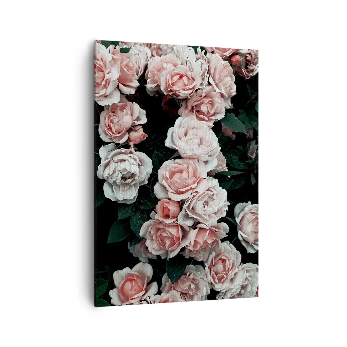 Impression sur toile - Image sur toile - Roses roses sur fond sombre dans une composition subtile - 70x100cm - Ensemble de rose - Décoration murale moderne pour le salon et la chambre ARTTOR