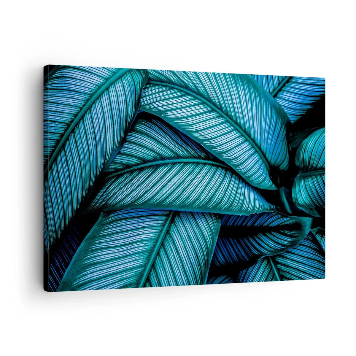 Impression sur toile - Image sur toile - Lignes de vie - 70x50 cm