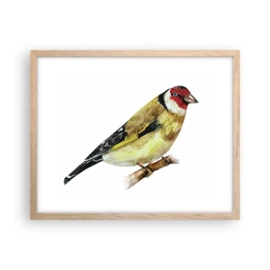 Affiche dans un chêne clair - Poster - Portrait d'oiseau - 50x40 cm