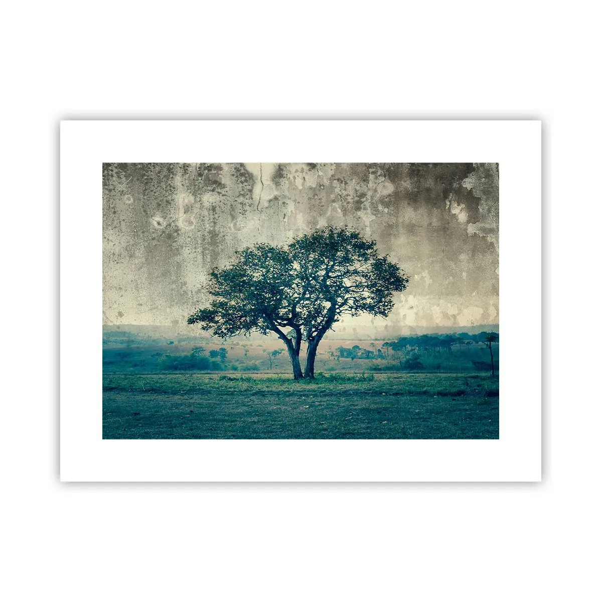 Affiche - Poster - Un pommier sur un champ bleu ? - 40x30 cm