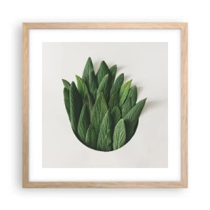 Affiche dans un chêne clair - Poster - Curiosité sans retenue - 40x40 cm