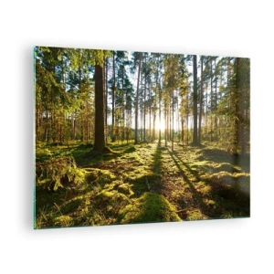 Impression sur verre - Image sur verre - Les rayons du soleil pénètrent à travers les arbres de la forêt - 70x50cm - … Derrière les sept forêts - Décoration murale moderne pour le salon et la chambre ARTTOR