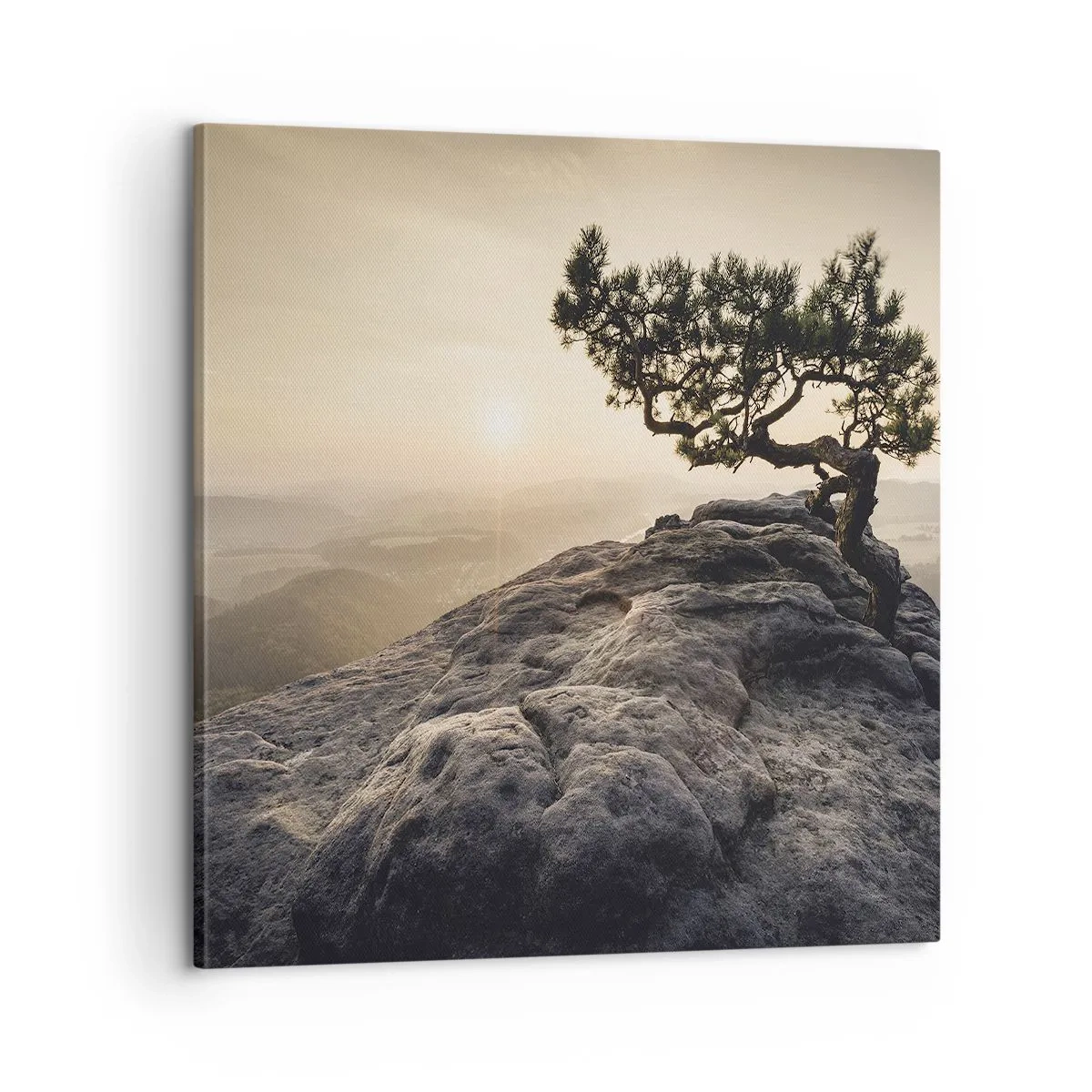 Impression sur toile - Image sur toile - La vie gagne toujours - 60x60 cm