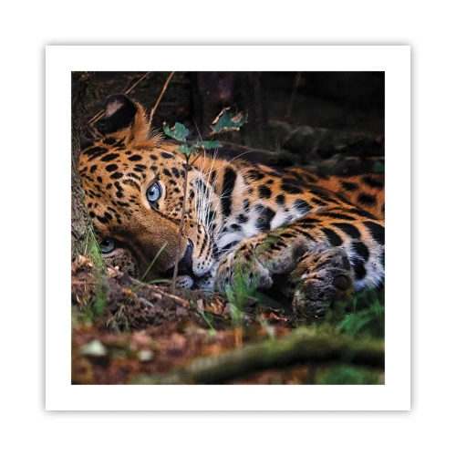 Affiche - Poster - Fais-moi confiance - 50x50 cm