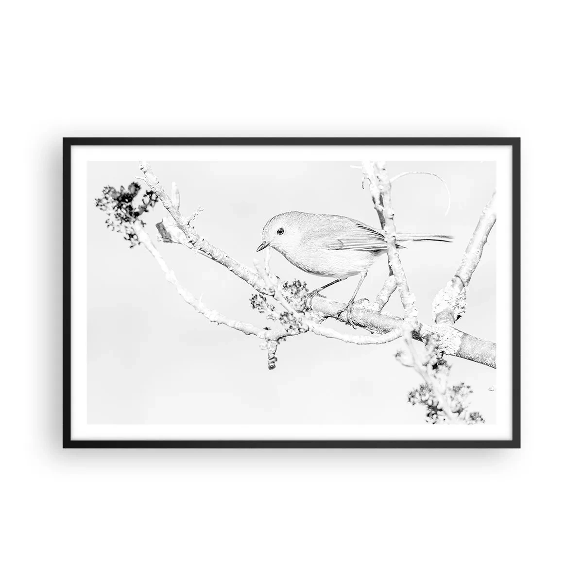Affiche dans un cadre noir - Poster - Matin d'hiver - 91x61 cm