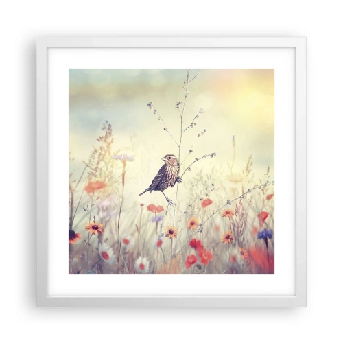 Affiche dans un cadre blanc - Poster - Portrait d'oiseau sur pré en fond - 40x40 cm