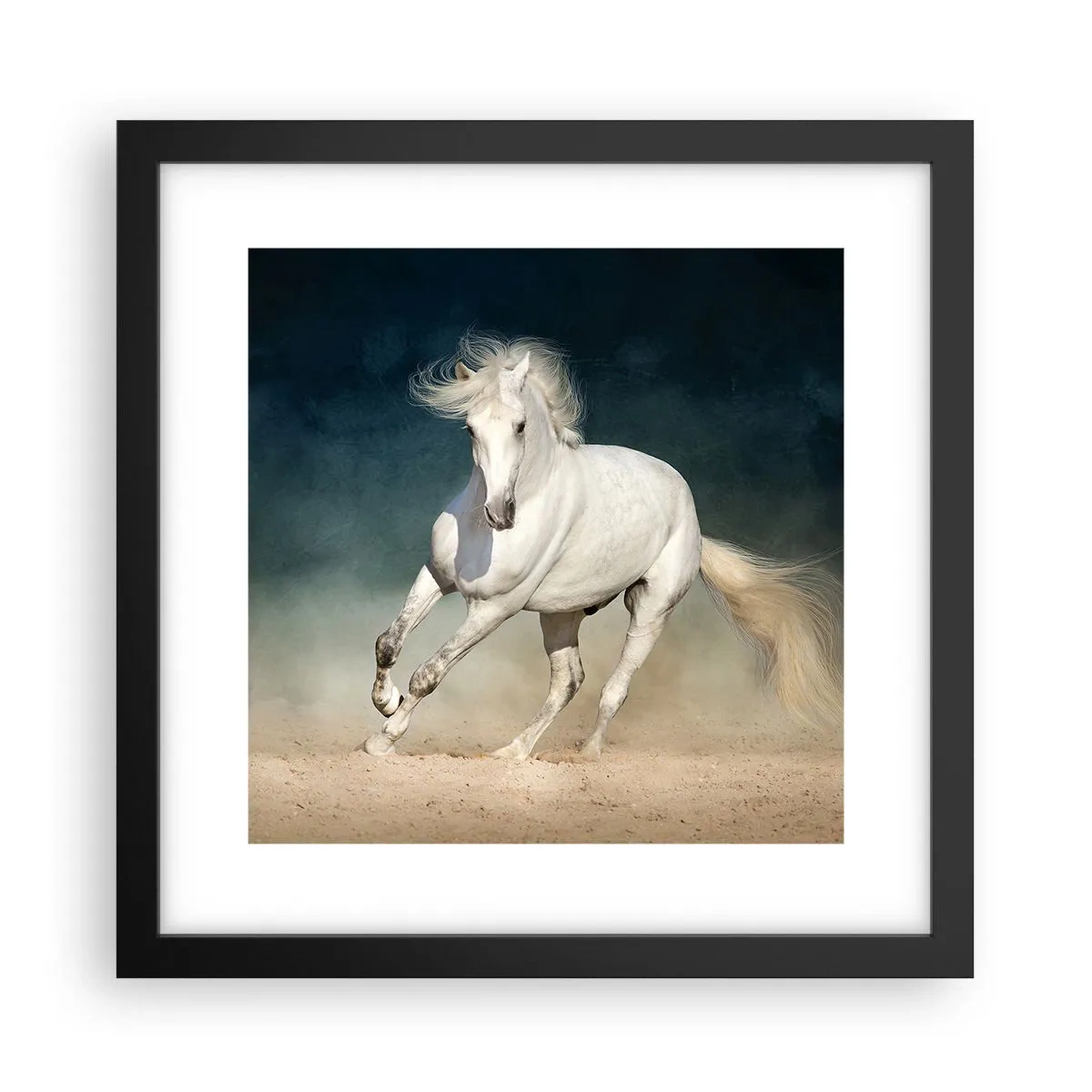 Affiche dans un cadre noir - Poster - La liberté à l'état pur - 30x30 cm