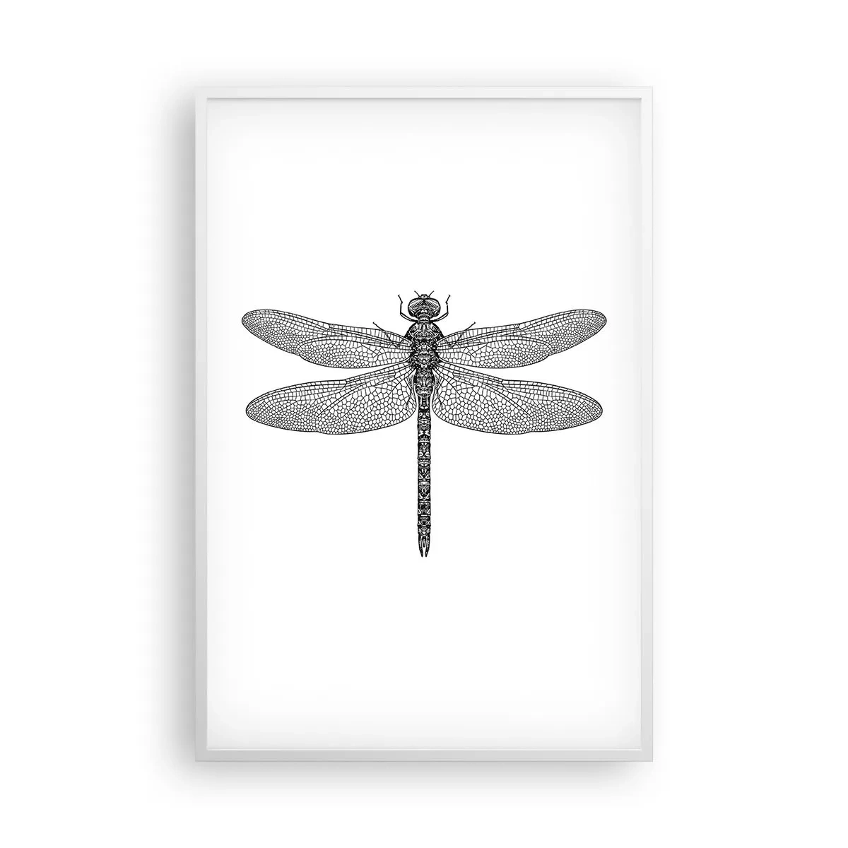 Affiche dans un cadre blanc - Poster - Précision de la nature - 61x91 cm