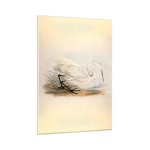 Impression sur verre - Image sur verre - Illustration vintage d'un héron blanc au bord de l'eau - 50x70cm - Dame sur les joncs - Décoration murale moderne pour le salon et la chambre ARTTOR
