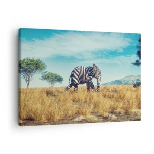 Impression sur toile - Image sur toile - Zèbre dans un paysage africain - 70x50cm - Le gris n'est déjà plus à la mode - Décoration murale moderne pour le salon et la chambre ARTTOR