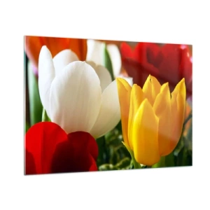 Impression sur verre - Image sur verre - Gros plan de tulipes colorées - 100x70cm - La fièvre des tulipes - Décoration murale moderne pour le salon et la chambre ARTTOR