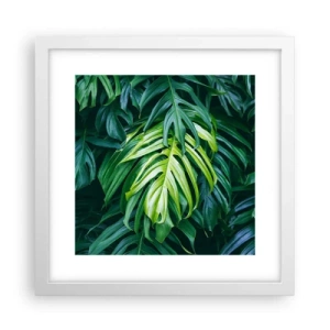 Affiche dans un cadre blanc - Poster - Immergez-vous dans la fraîcheur - 30x30 cm