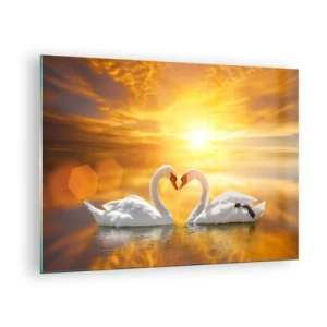 Impression sur verre - Image sur verre - Deux cygnes sur l'eau formant un cœur sur fond de coucher de soleil - 70x50cm - Le coeur est le plus beau mot du monde… - Décoration murale moderne pour le salon et la chambre ARTTOR