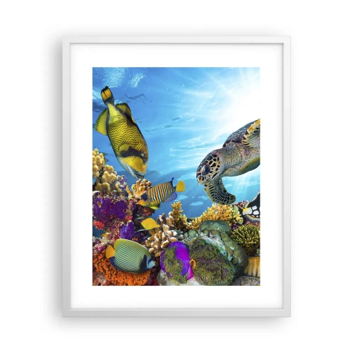 Affiche dans un cadre blanc - Poster - Promenade de corail - 40x50 cm