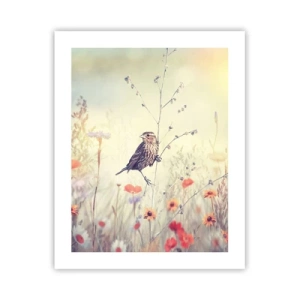 Affiche - Poster - Portrait d'oiseau sur pré en fond - 40x50 cm