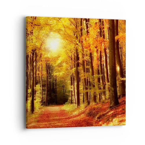 Impression sur toile - Image sur toile - Automne doré sur une route forestière - 40x40 cm