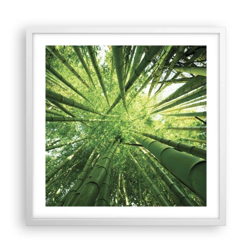 Affiche dans un cadre blanc - Poster - Dans une bambouseraie - 50x50 cm