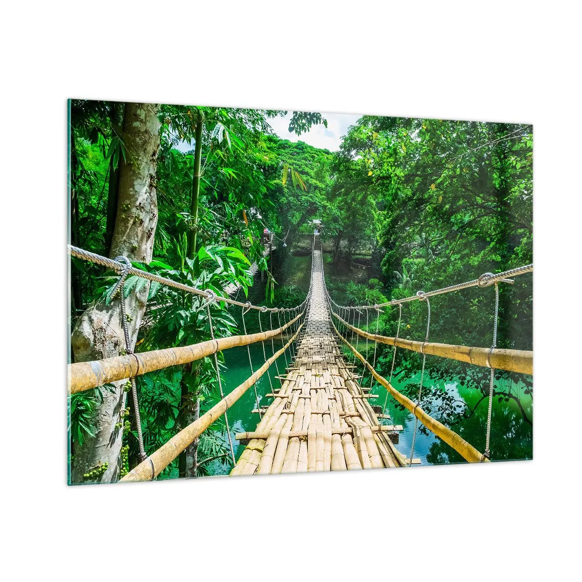 Impression sur verre - Image sur verre - Un pont en bambou suspendu au milieu de la verdure tropicale au-dessus d'une rivière - 100x70cm - Pont de singe en pleine nature - Décoration murale moderne pour le salon et la chambre ARTTOR