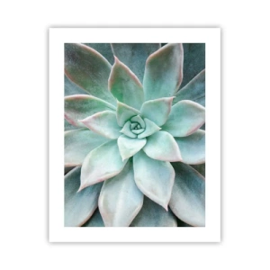 Affiche - Poster - Le coeur du désert - 40x50 cm