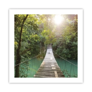 Affiche - Poster - De l'eau azur à la forêt azur - 50x50 cm