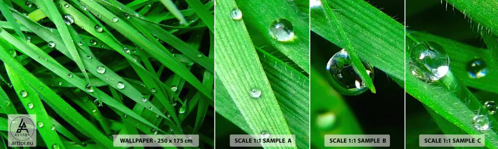 Échantillon De Papier Peint Standard Eco - Jouez dans le vert - Nature, L'herbe verte, Jardin - 100x30 cm