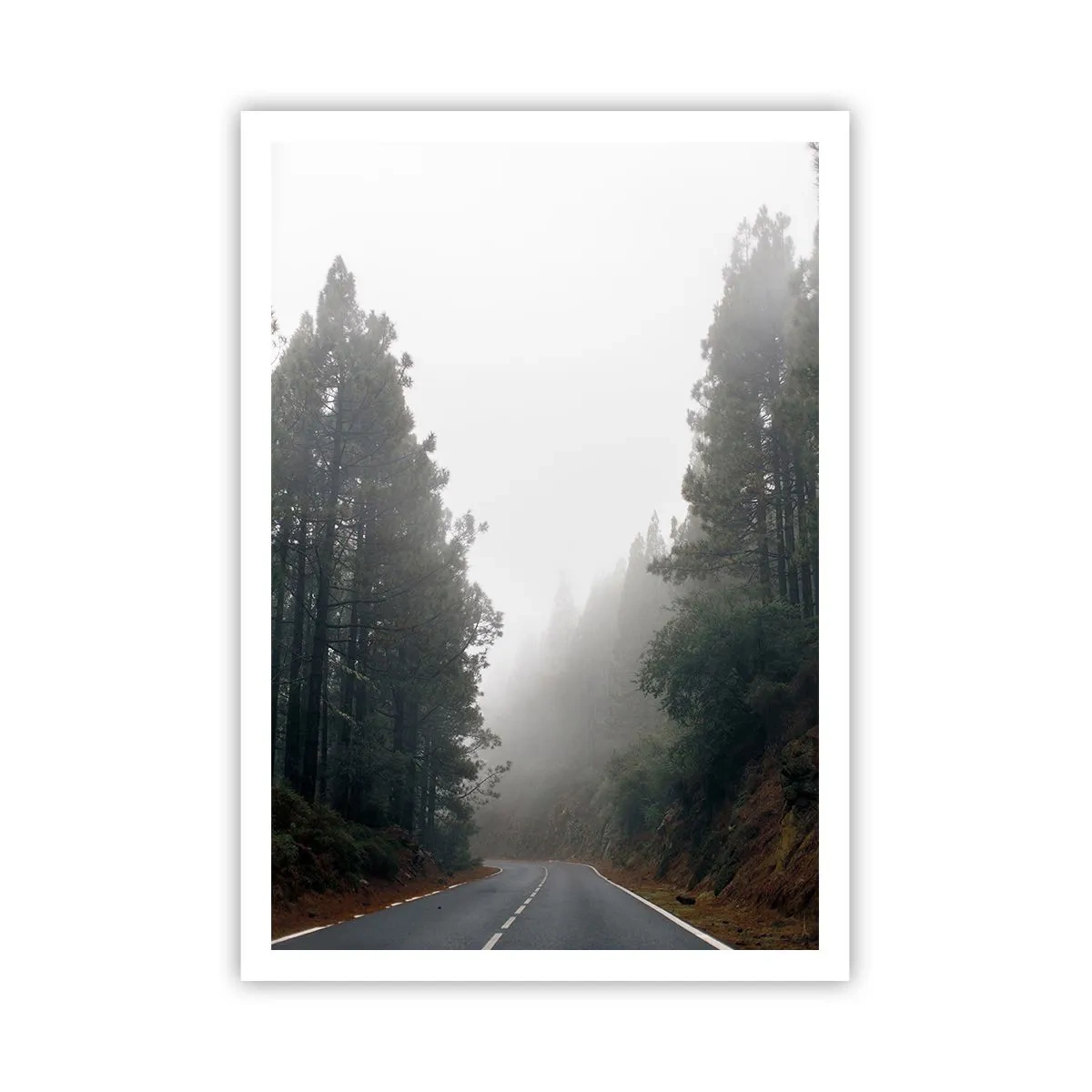 Affiche - Poster - Conte de la forêt magique - 70x100 cm