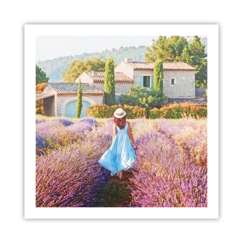 Affiche - Poster - Fille de la lavande - 60x60 cm