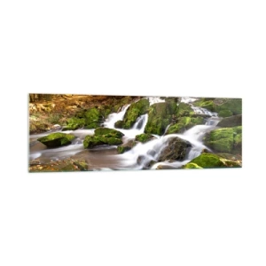 Impression sur verre - Image sur verre - Un paysage boisé avec une cascade entourée de mousse - 160x50cm - Rapidement à travers la forêt d'automne - Décoration murale moderne pour le salon et la chambre ARTTOR