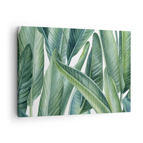 Impression sur toile - Image sur toile - Feuilles vertes dans un style botanique minimaliste - 70x50cm - La nature face à elle-même - Décoration murale moderne pour le salon et la chambre ARTTOR